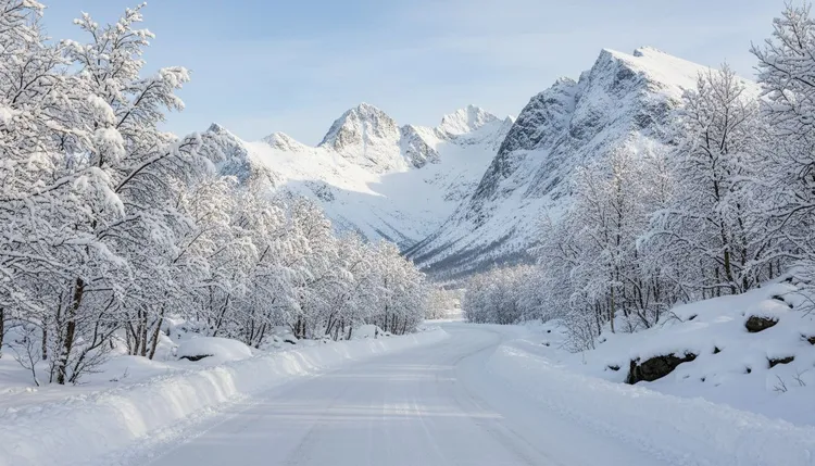 En kald og klar vinterdag venter i Lofoten, med temperaturer ned mot minus ni grader. Flytrafikken går som normalt, og det er flere spennende nyheter fra lokalsamfunnet.