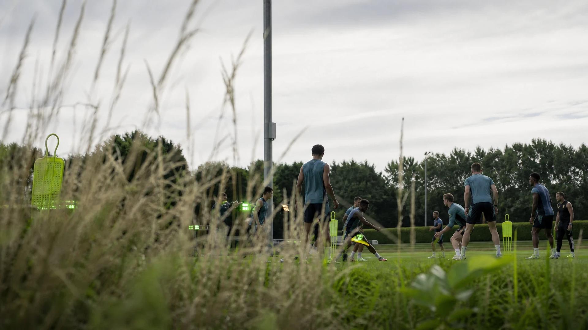 Wide-angle view of Arsenal's training ground with players engaged in practice, framed by tall grass.