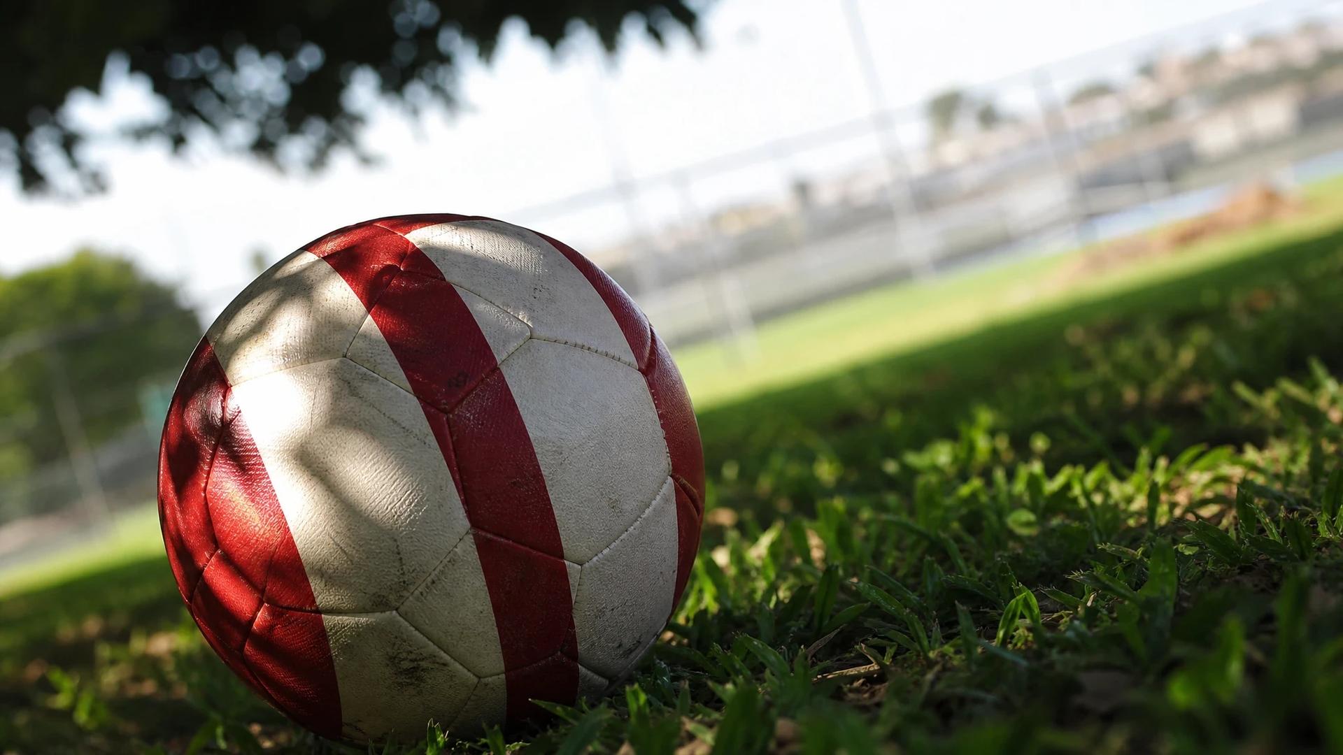 A close-up of a football representing Atlético Madrid, resting on grass with dappled sunlight filtering through leaves.